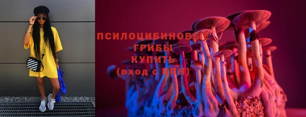 хмурый Алзамай