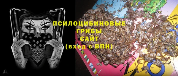 хмурый Алзамай
