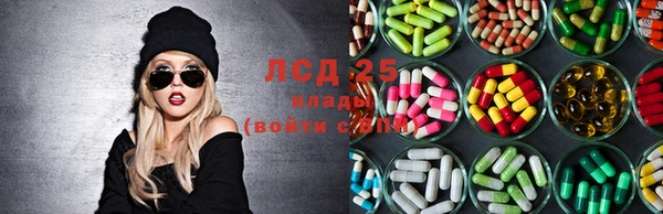 хмурый Алзамай